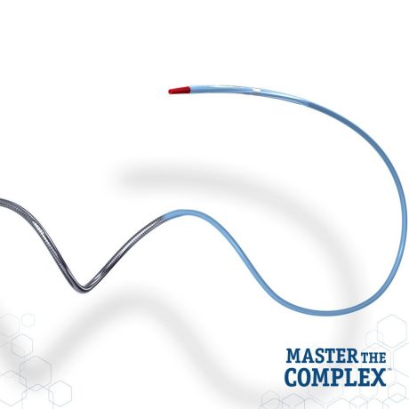 Microdilatation catheter