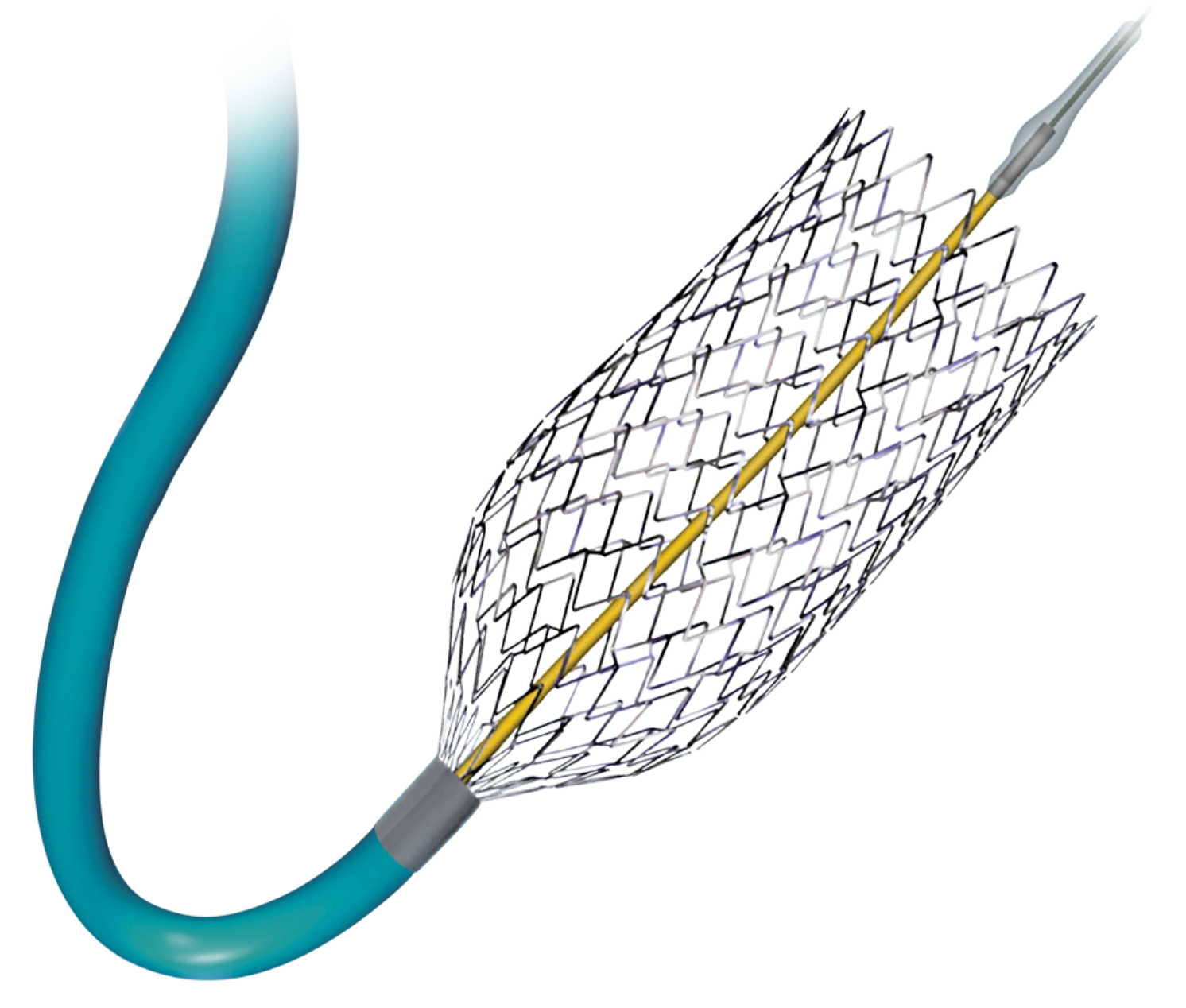 PRECISE® PRO RX™ Carotid Stent System | Nitinol Self-Expanding Stent