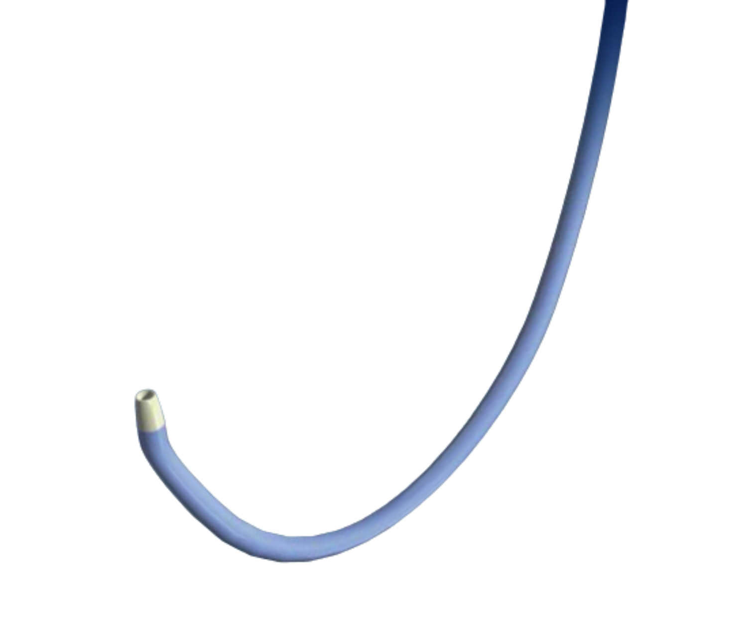 ELITECROSS™ Support Catheter | CTO Guidewire Support Catheter